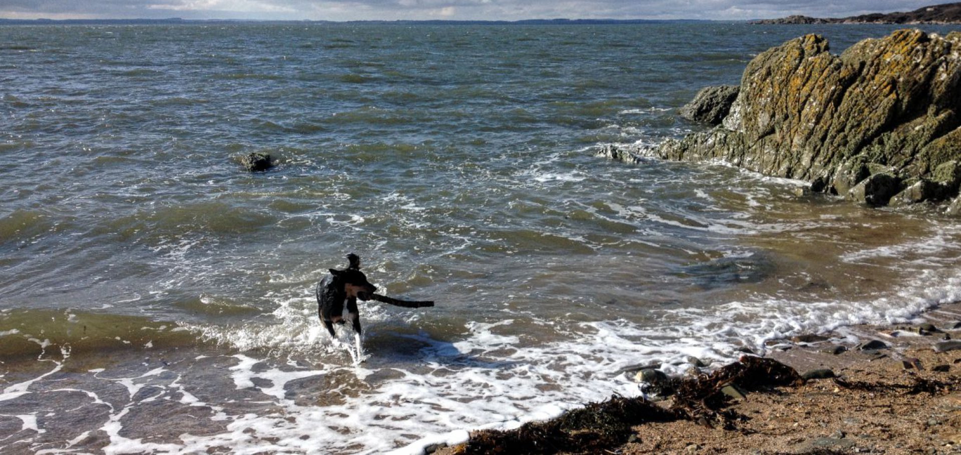 Dog friendly holiday cottages in Dumfries and Galloway